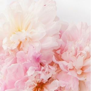 Meet your Posher, Livia